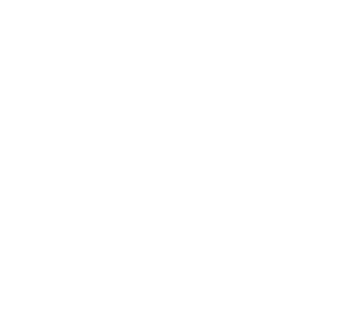 Responsive Website